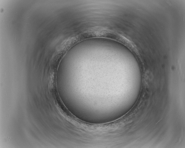 X0000060740018200511171109