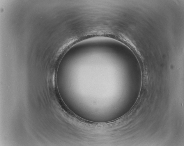 X0000060740019200511171108