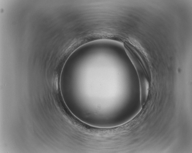 X0000060740021200511171108