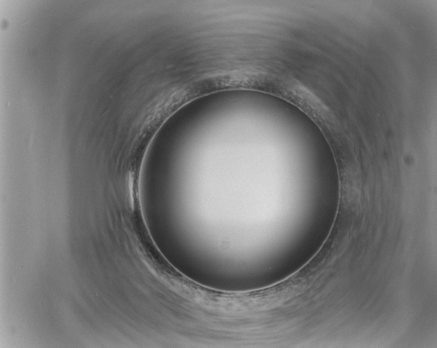 X0000060740022200511171108