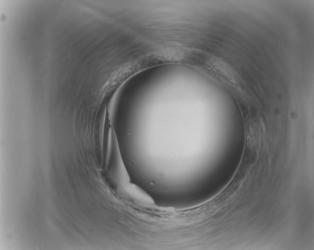 X0000060740023200511171108