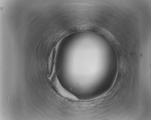 X0000060740025200511171108