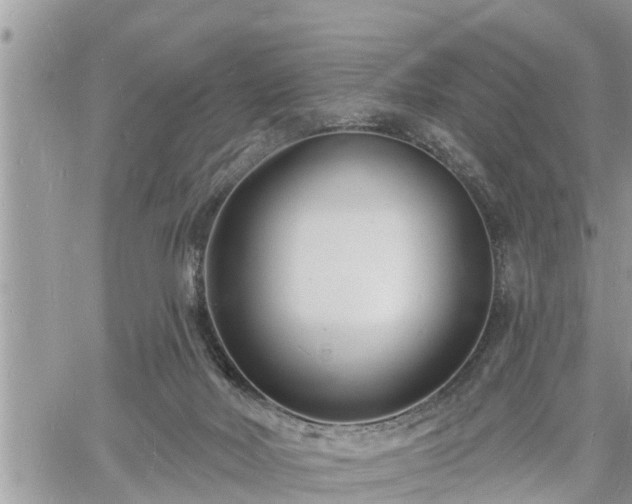 X0000060740026200511171108