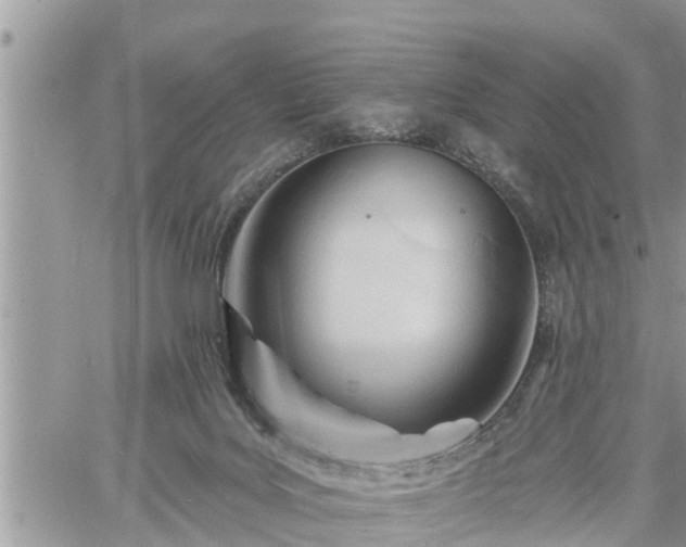 X0000060740027200511171108