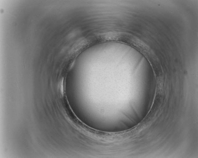 X0000060740028200511171108