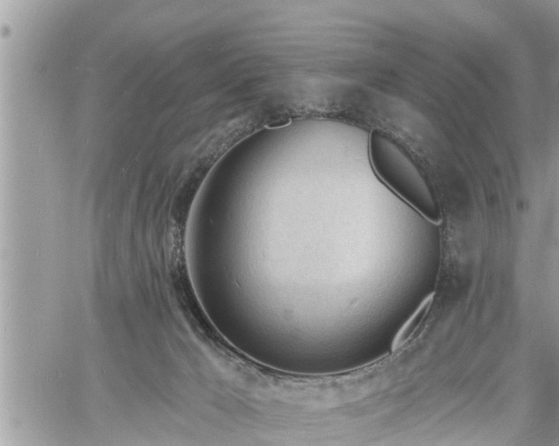 X0000060740029200511171108