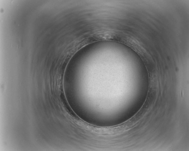 X0000060740030200511171108