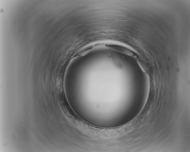 X0000060740031200511171108