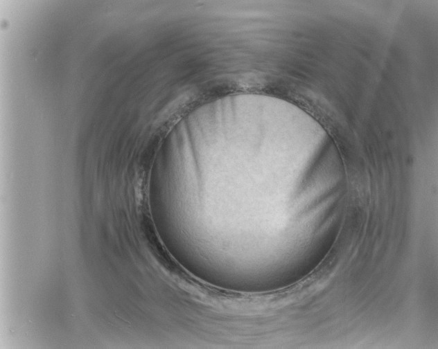 X0000060740032200511171108