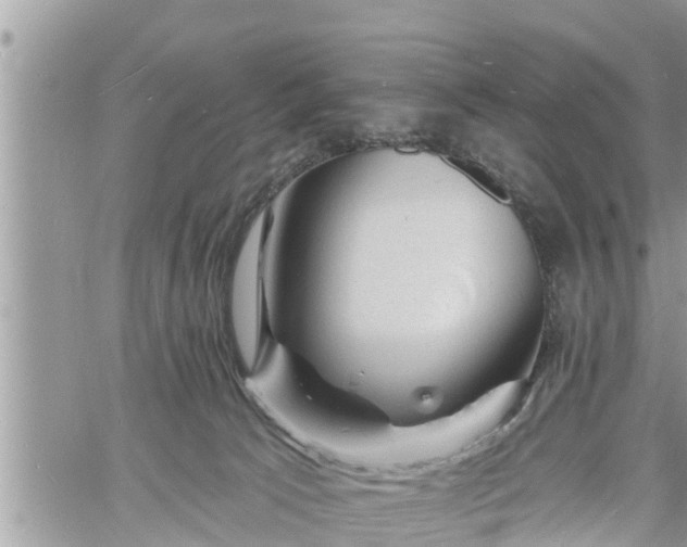 X0000060740033200511171108