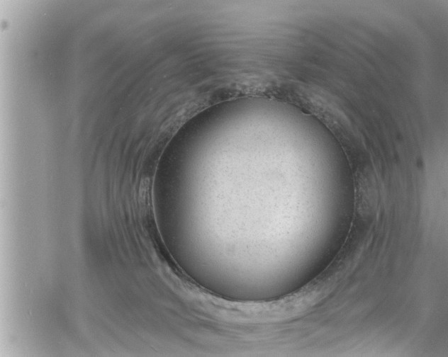 X0000060740034200511171108