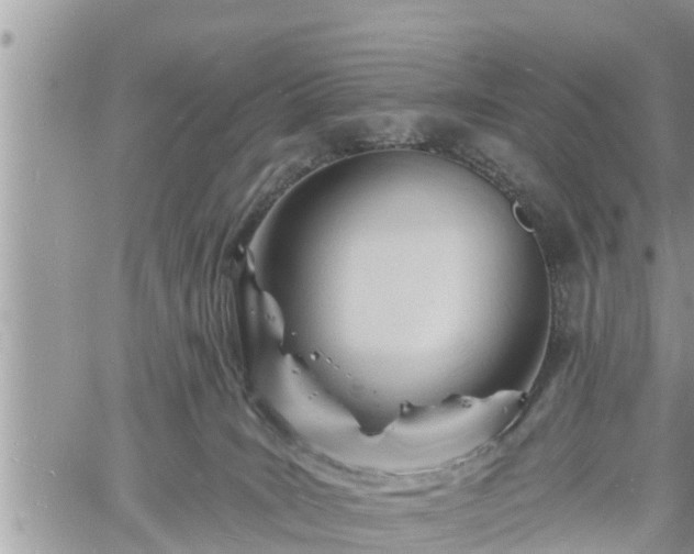 X0000060740035200511171108