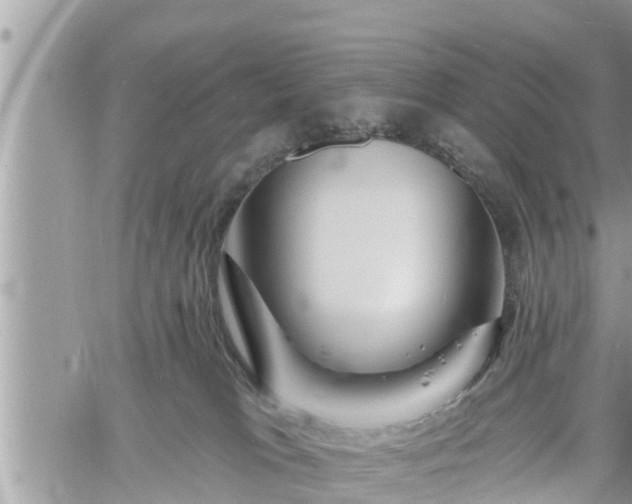 X0000060740037200511171108