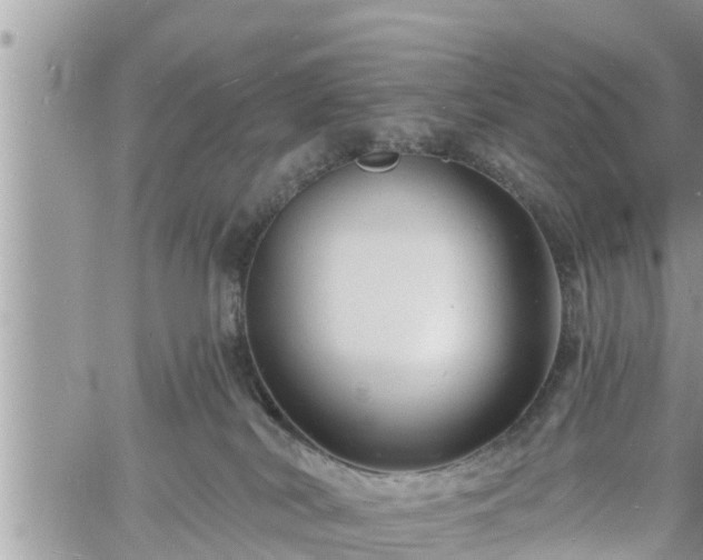 X0000060740038200511171108