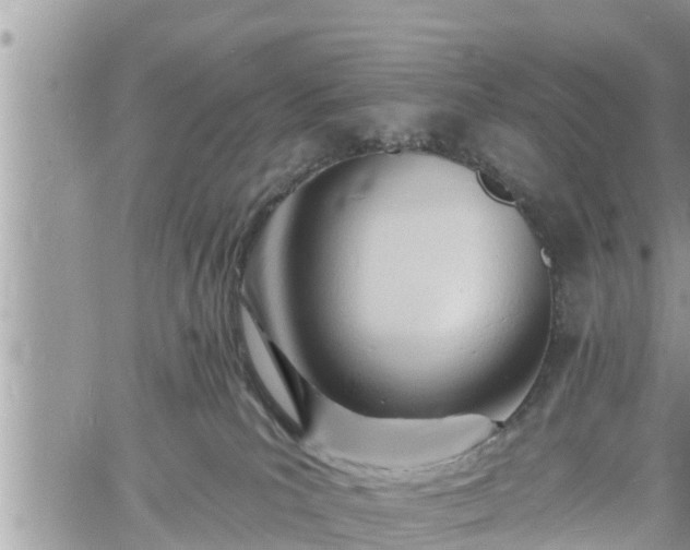 X0000060740039200511171108