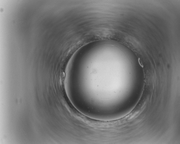 X0000060740040200511171108