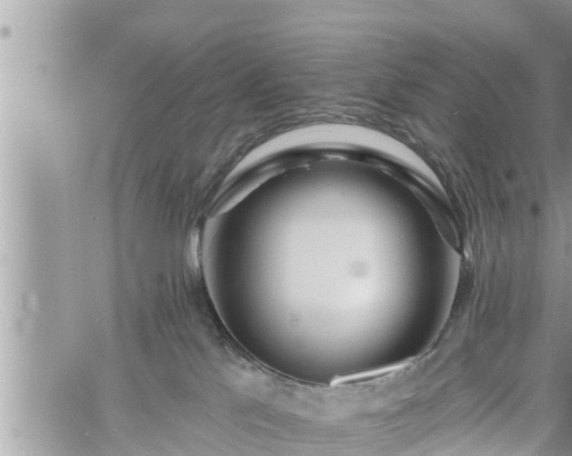 X0000060740041200511171108