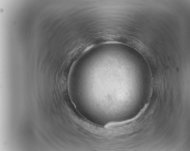 X0000060740043200511171108