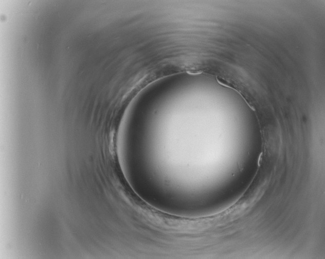 X0000060740044200511171108