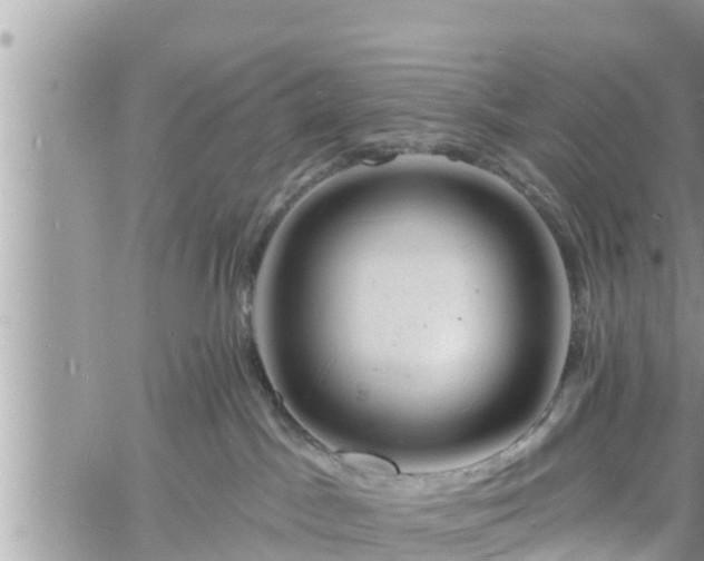 X0000060740045200511171108