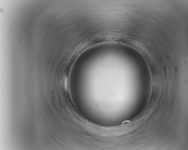 X0000060740046200511171108