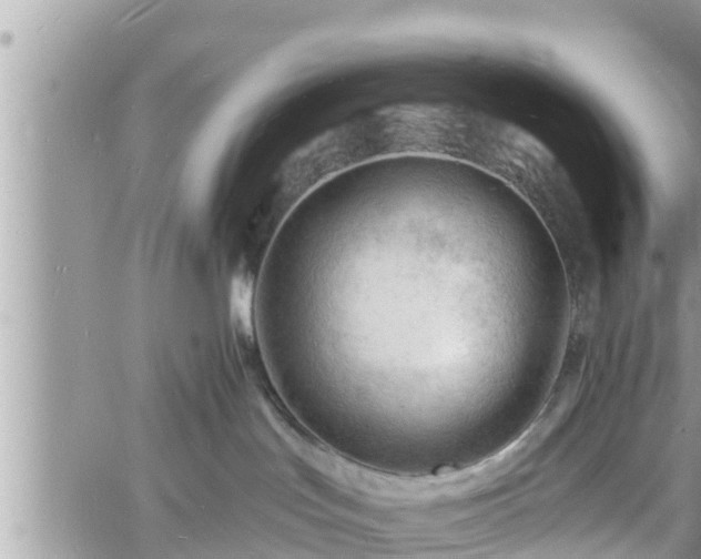 X0000060740047200511171108