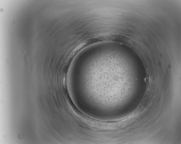 X0000060740048200511171108