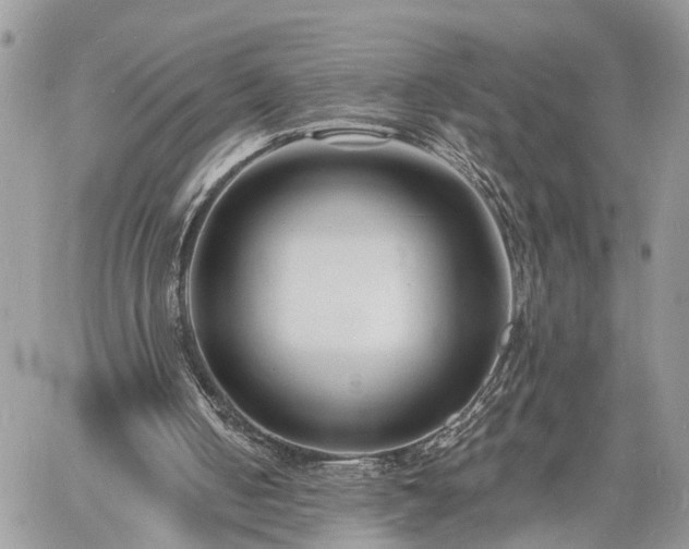 X0000060740050200511171107