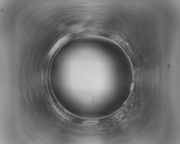 X0000060740051200511171107