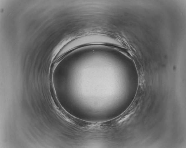 X0000060740052200511171107