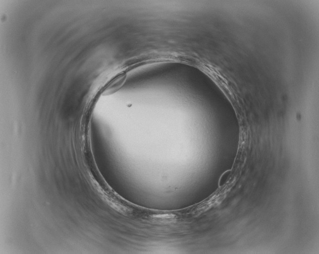 X0000060740053200511171107