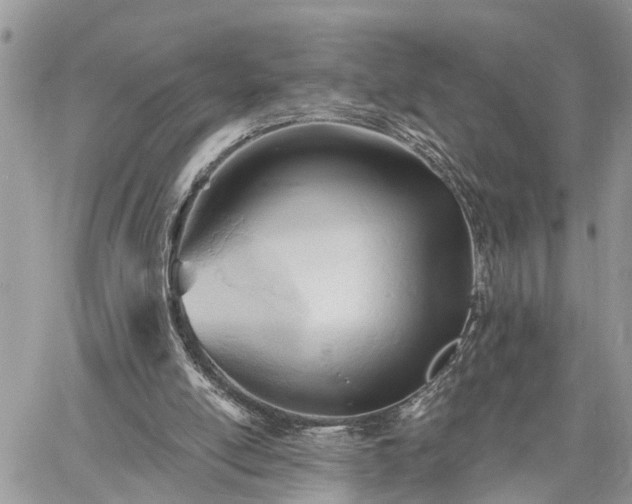 X0000060740054200511171107