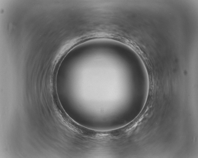 X0000060740055200511171107