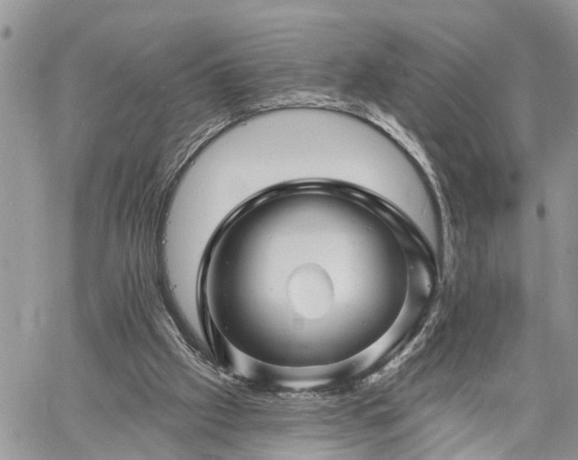 X0000060740057200511171107