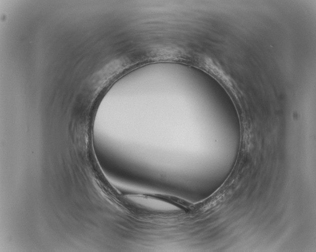 X0000060740059200511171107