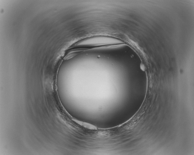 X0000060740060200511171107