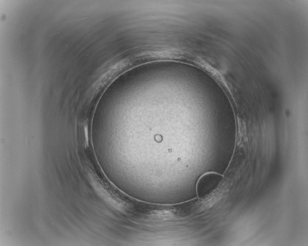 X0000060740061200511171107