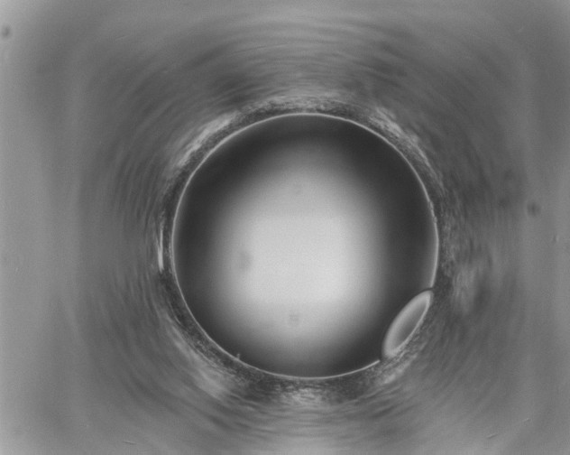 X0000060740062200511171107