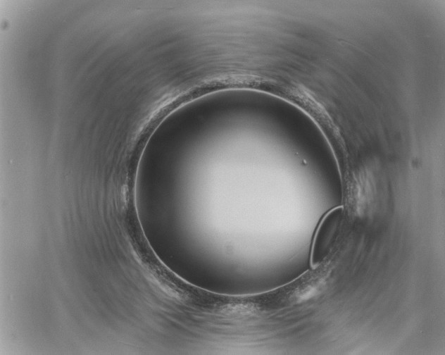 X0000060740063200511171107