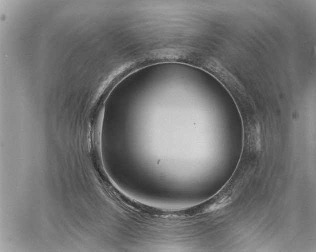 X0000060740064200511171107