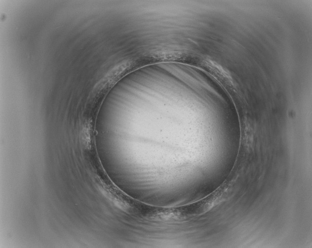 X0000060740065200511171107