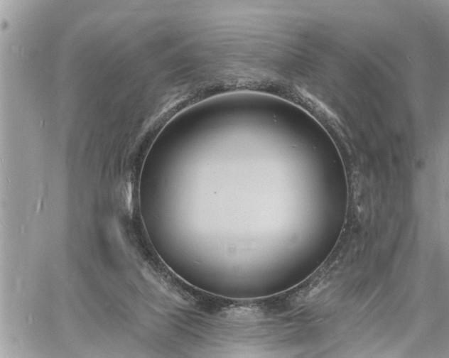 X0000060740067200511171108