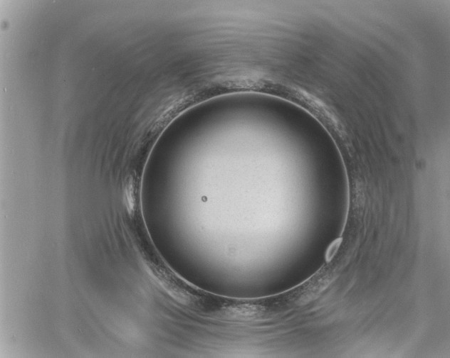 X0000060740069200511171108