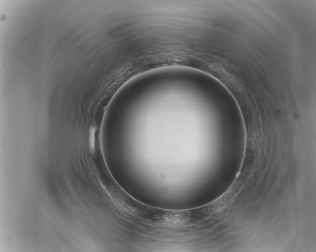 X0000060740070200511171108