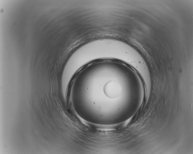 X0000060740071200511171108