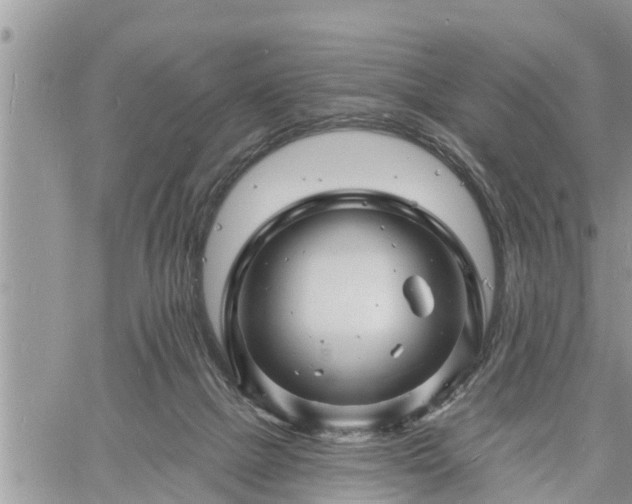 X0000060740073200511171108