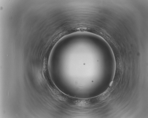 X0000060740074200511171108