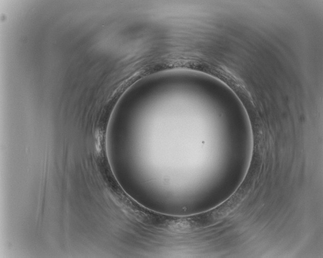 X0000060740075200511171108