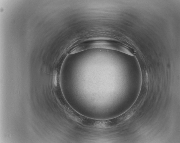 X0000060740076200511171108