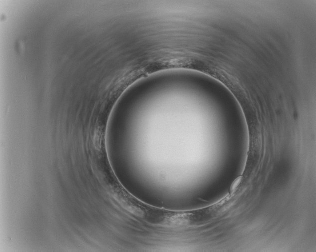 X0000060740078200511171108